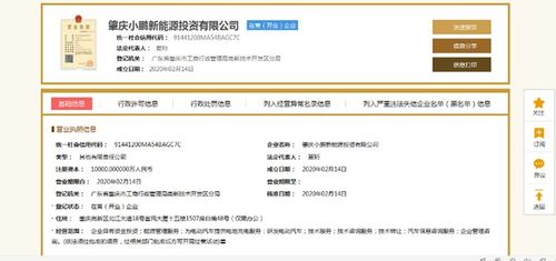 小鵬汽車深化產業布局 1億元設立新能源投資公司，分公司注冊同步啟動